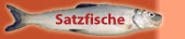 Satzfische